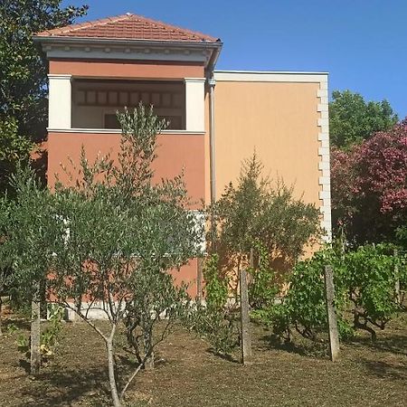 Apartments Rolovina Тиват Экстерьер фото